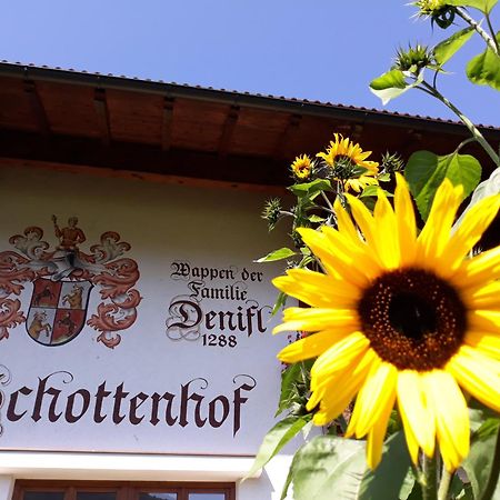 Schottenhof Фулпмес Екстериор снимка