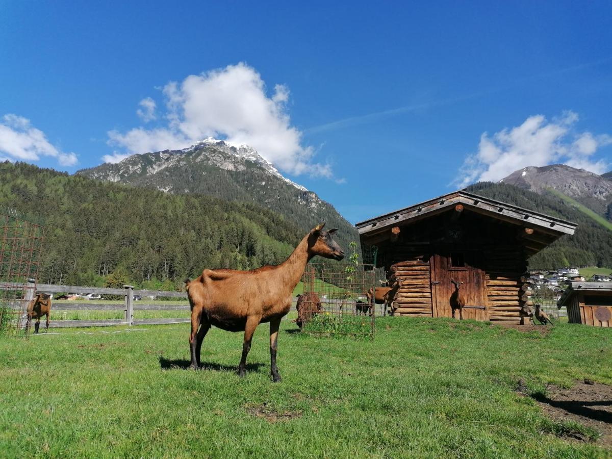 Schottenhof Фулпмес Екстериор снимка
