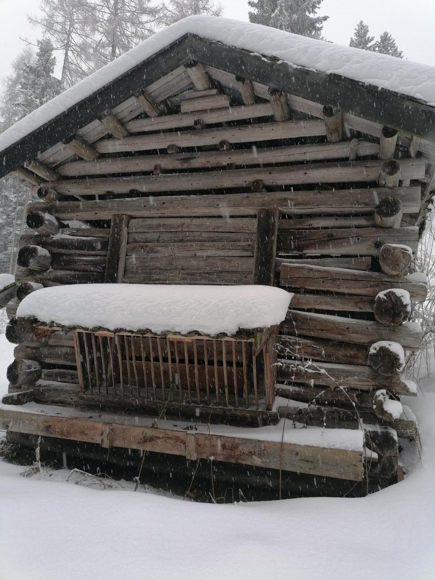 Schottenhof Фулпмес Екстериор снимка